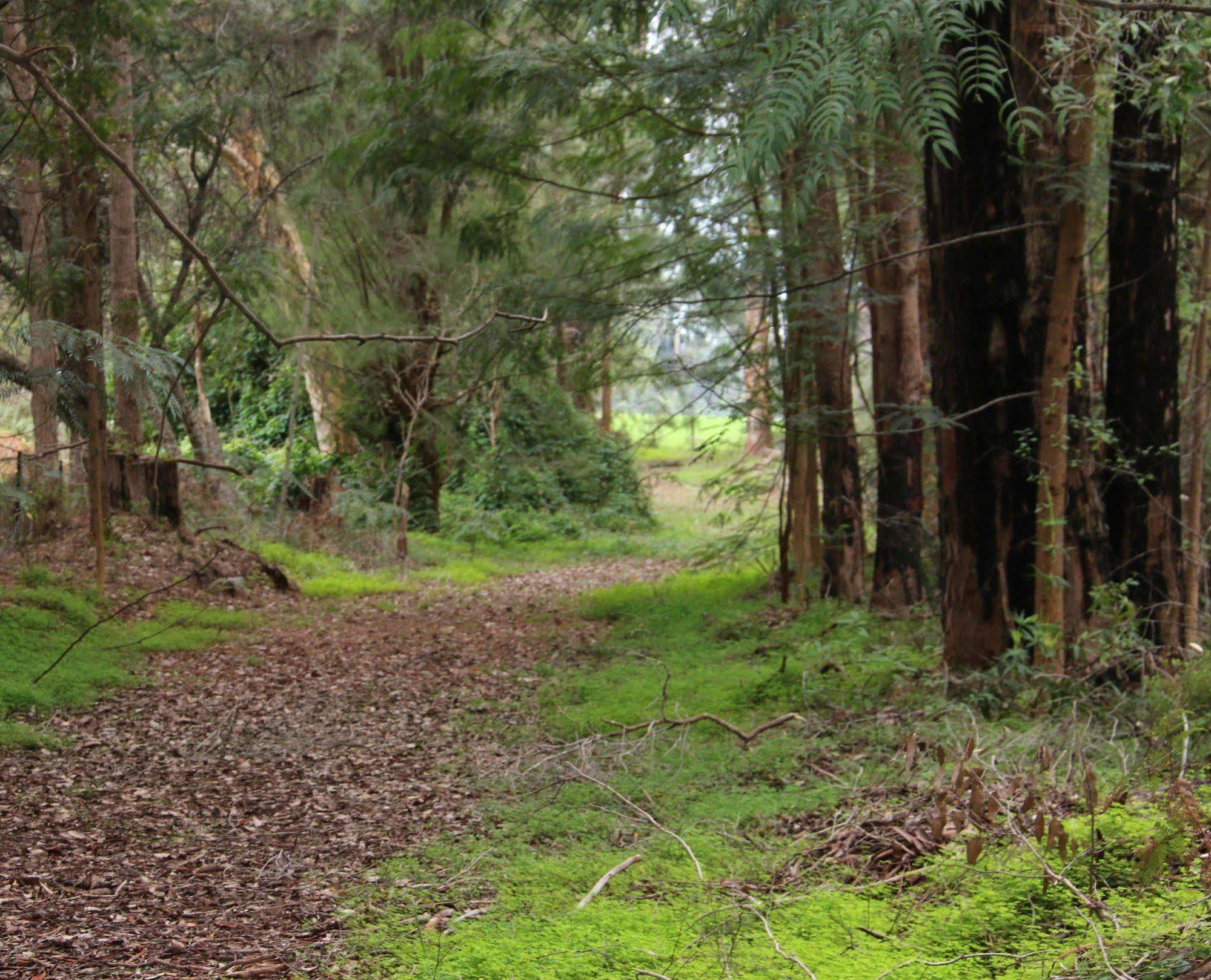 Treenbrook Cottages Pemberton Εξωτερικό φωτογραφία